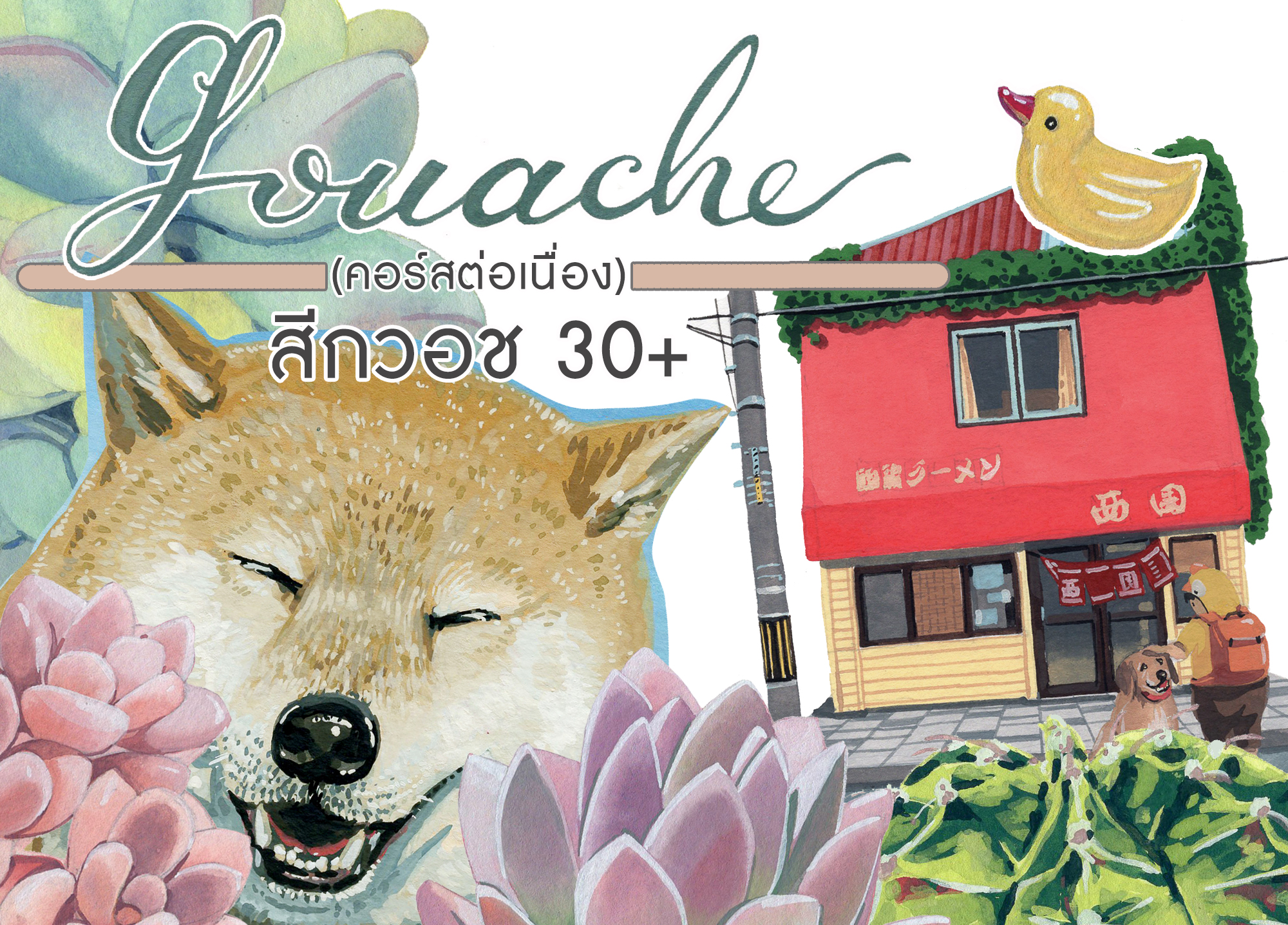 สีกวอช 30+